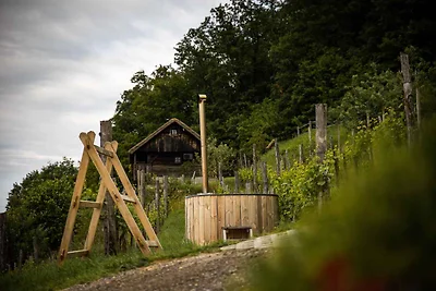 Casa vacanze Vacanza di relax Slovenia