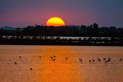 Appartamento Vacanza con famiglia Rosolina