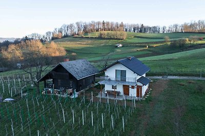 Ferienhaus in Weinbergen