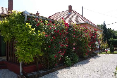 Ferienhaus mit gemütliche Terrasse und