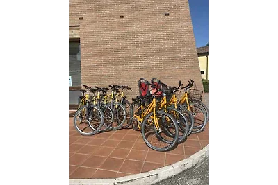 Ferienwohnung Wohnung in Ferienanlage mit Sch