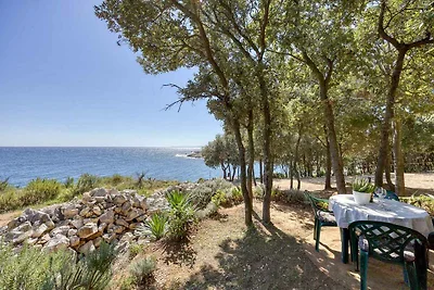 Vakantieappartement Gezinsvakantie Kavran