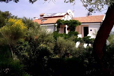 Vakantieappartement Gezinsvakantie Mali Lošinj