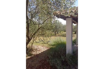 Ferienwohnung mit Gartenterasse