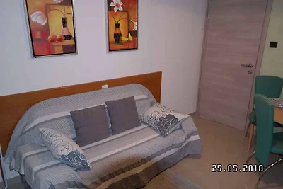 Appartamento Vacanza con famiglia Novi Vinodolski
