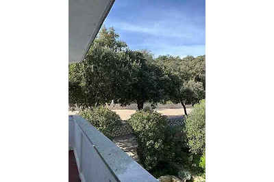 Appartamento Vacanza con famiglia Kampor
