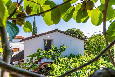 Ferienwohnung mit Klimaanlage