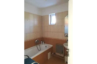 Ferienwohnung mit grosser Terrasse und mit Au