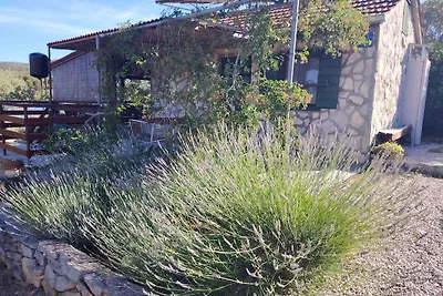 Ferienhaus mit Garten
