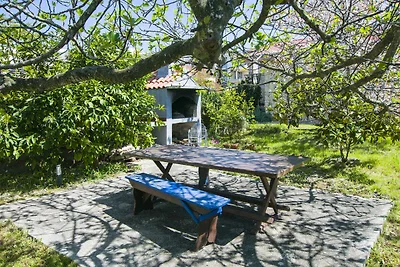 Gemütliche Ferienwohnung More in Kožino mit n