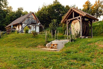 Holiday home relaxing holiday Otočec