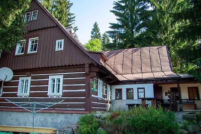 Ferienhaus stilvoll eingerichtet mit Kamin un