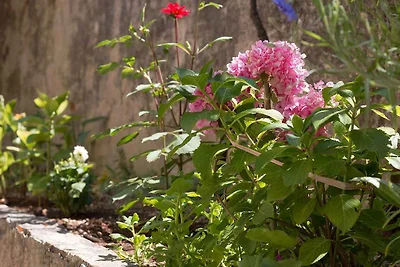 Apartament Dla rodzin Veli Losinj