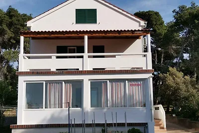 Appartamento Vacanza con famiglia Ugljan
