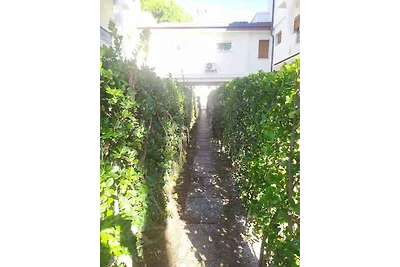 Ferienwohnung mosógéppel