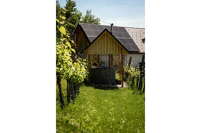 Ferienhaus mit Sauna und Weinkeller