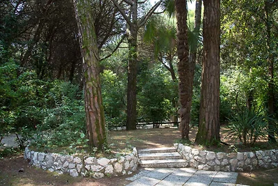 Bungalow 80 m vom Strand mitten im Pinienhain