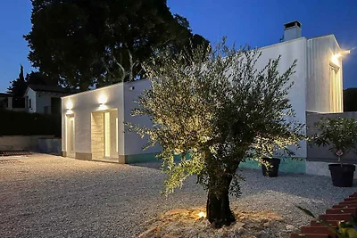 Ferienhaus mit Aussenpool