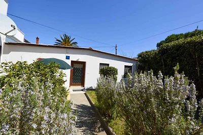 Ferienhaus mit Terrasse