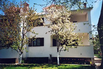 Ferienwohnung mit grossem Garten