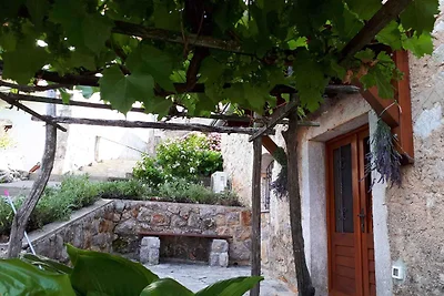 Ferienhaus mit und Meerblick