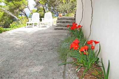 Ferienhaus am Meer