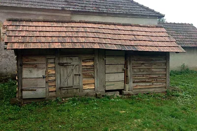 Ferienhaus in ländlicher Ruhe