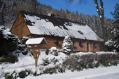 Vakantieappartement Gezinsvakantie Horni Marsov