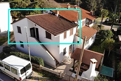 Ferienwohnung mit Klimananlage und Terrasse
