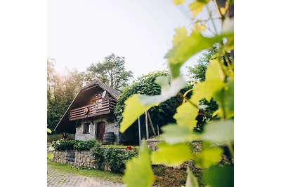Ferienhaus mit schönem Ausblick