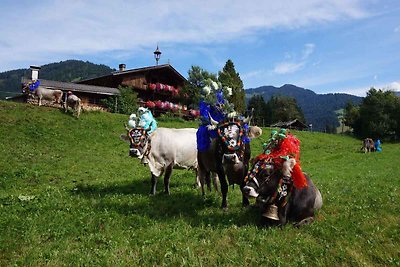 Ferienwohnung mit Balkon und Hallenbad