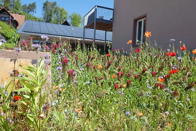 Appartamento Vacanza con famiglia Fischbach Dahn