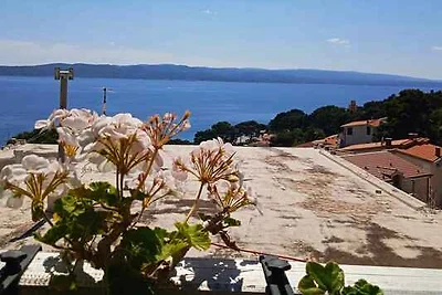 Vakantieappartement Gezinsvakantie Brela