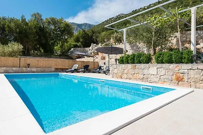 Ferienhaus mit Aussenpool