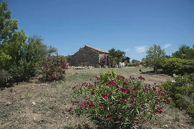 Vakantiehuis Ontspannende vakantie Sassari