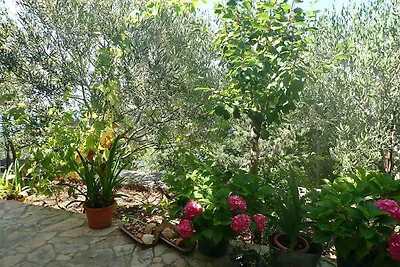 Ferienwohnung am Meer