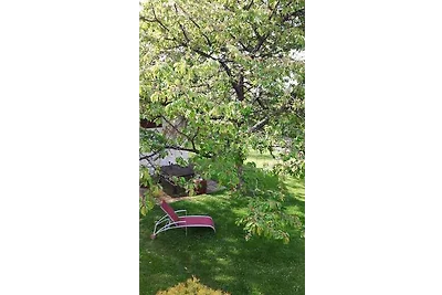 Ferienwohnung mit Klimaanlage und Terrasse