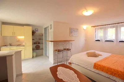 Studio mit Klimaanlage