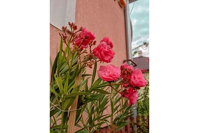 Ferienhaus in ruhiger Lage, mit WLAN