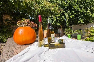 Ferienhaus mit privatem Garten und Grill für 