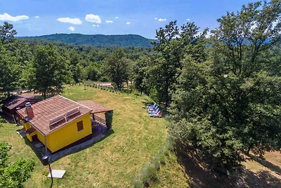 Ferienhaus mit Grill und Garten