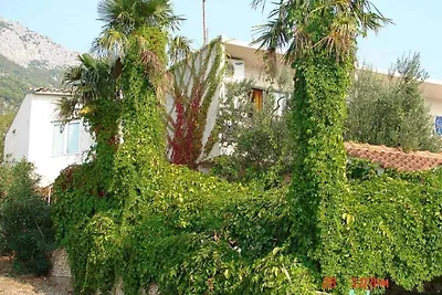 Ferienwohnung mit Klimaanlage und Balkon