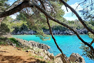 Appartamento Vacanza con famiglia Krk