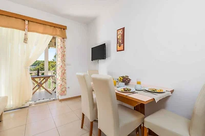 Charmante Ferienwohnung Pavica in Palit auf d