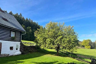 Ferienhaus mit Schwimmbad in einem Semi-Selit
