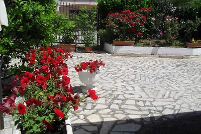 Ferienwohnung mit Balkon und Internet