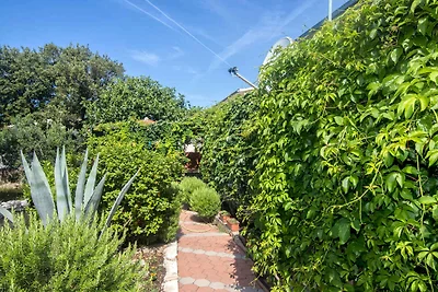 Ferienwohnung mit Klimaanlage und Terrasse in