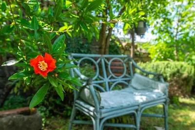 Apartament Dla rodzin Momjan