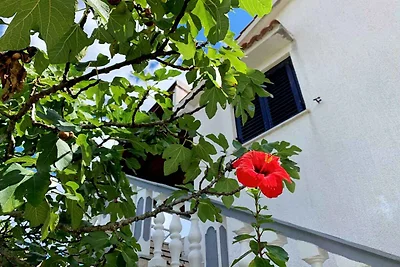 Gemütliche Ferienwohnung Horvat in Šilo auf d