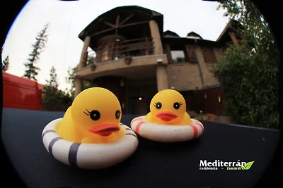 apartman za odmor Obiteljski odmor Zamardi